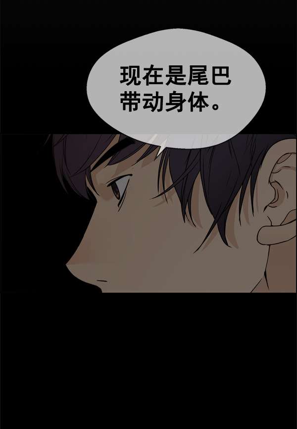 第 85 页