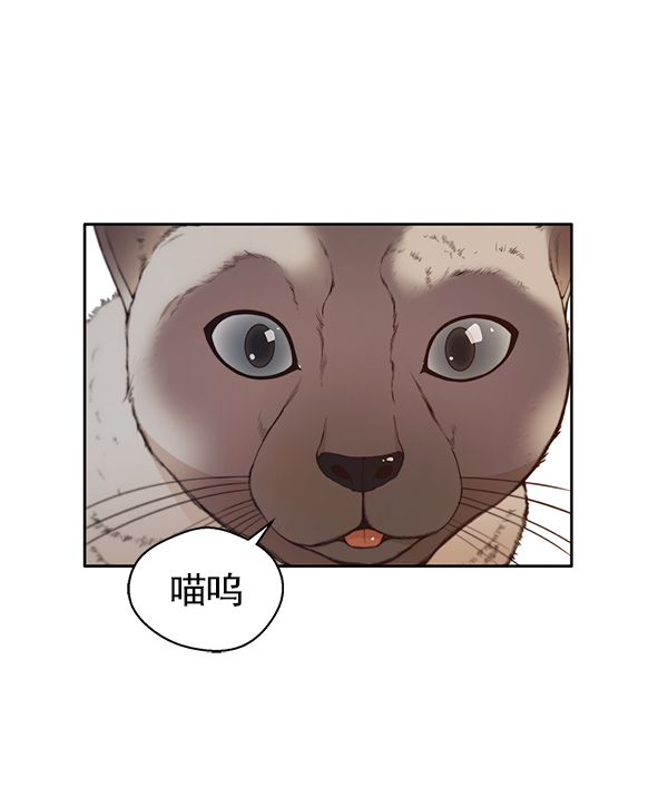 第 100 页