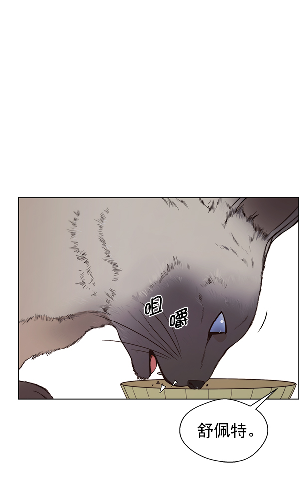 第 102 页