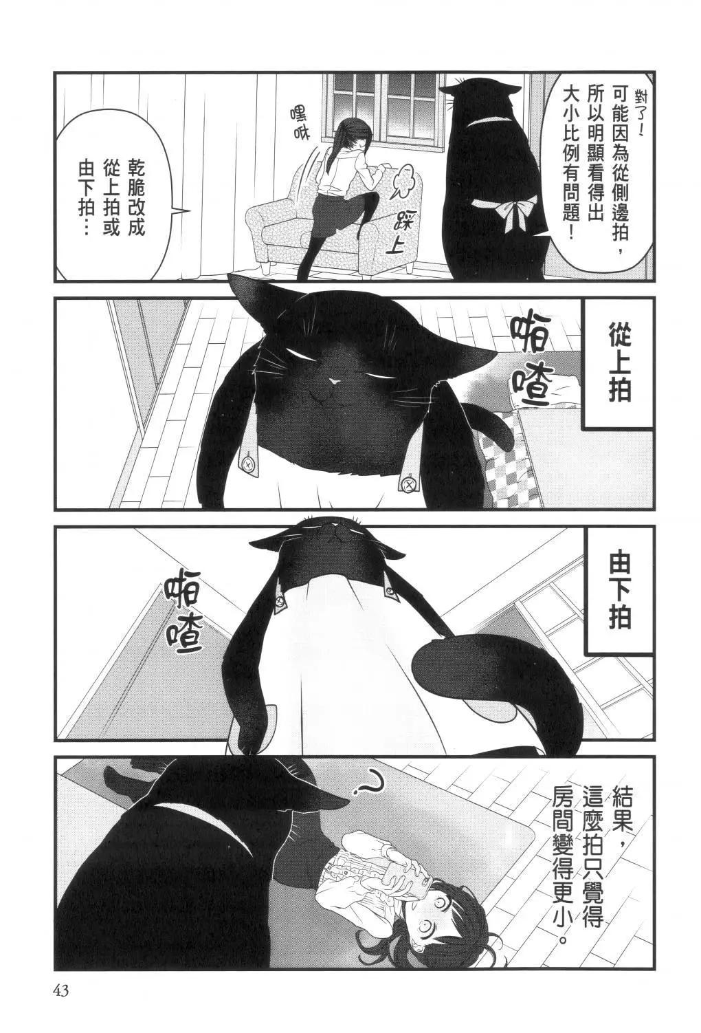 第 45 页