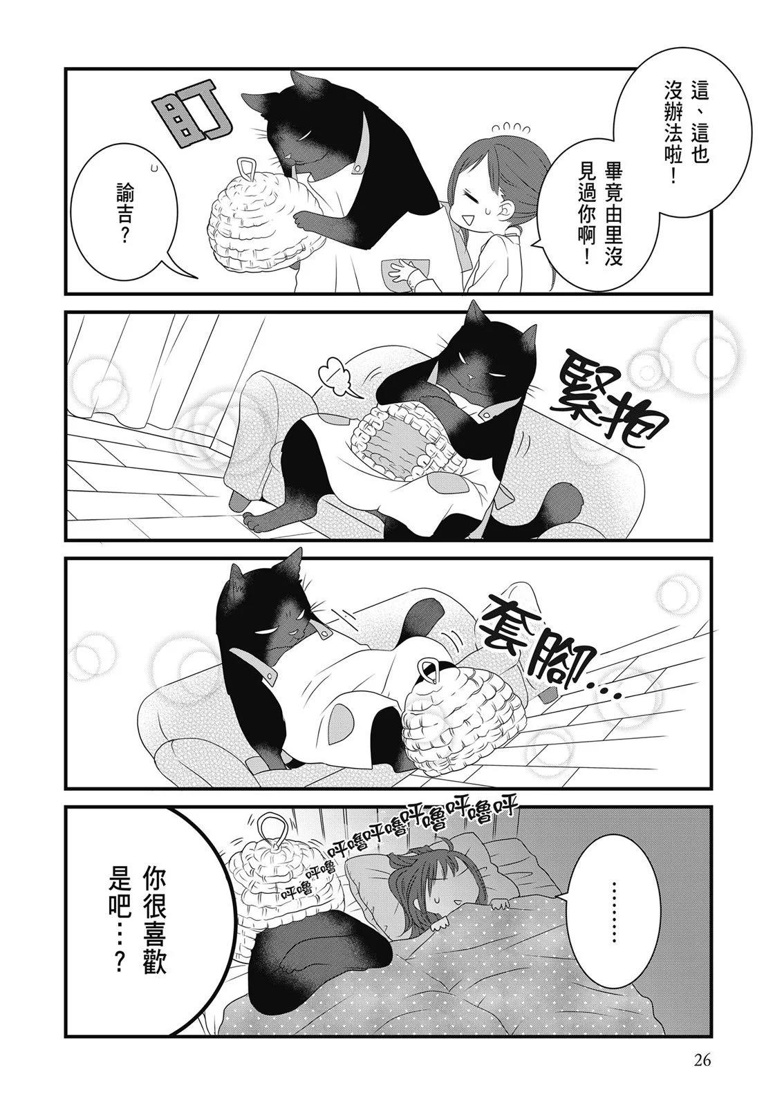 第 28 页
