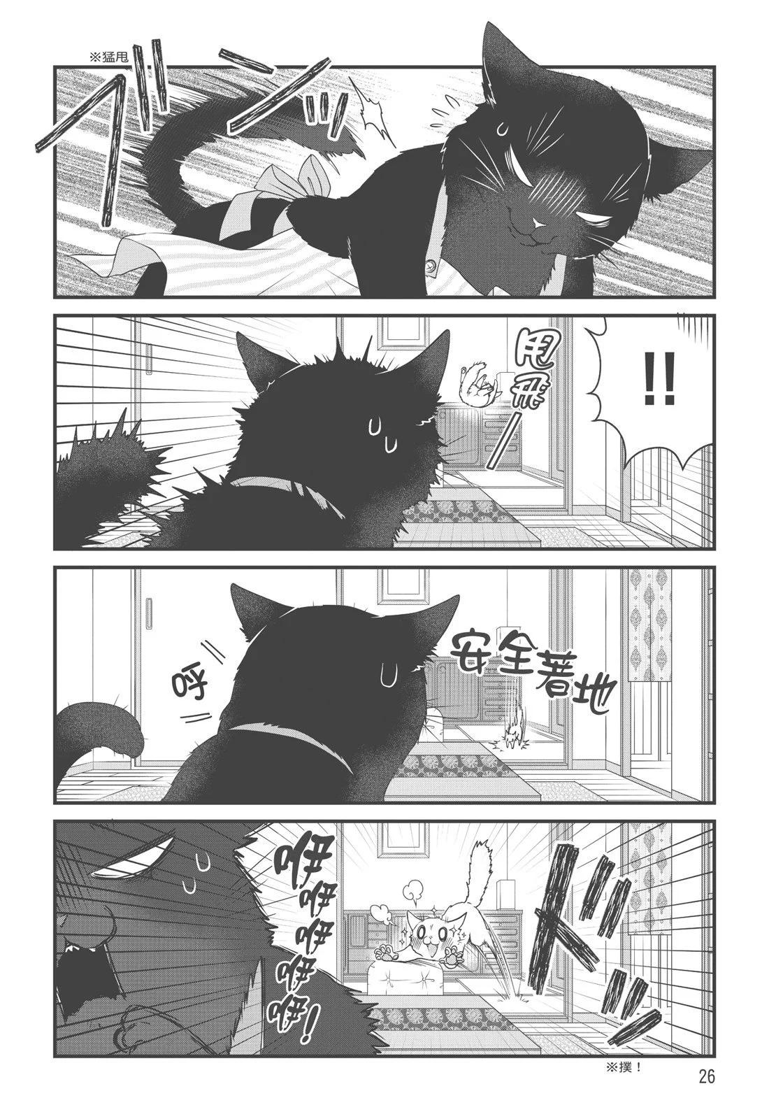 第 28 页