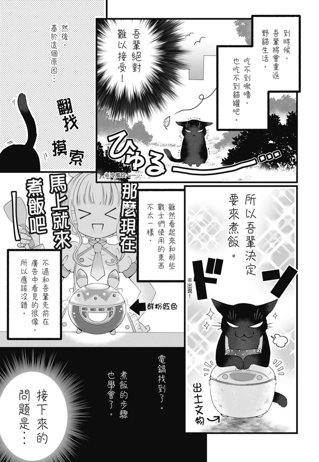 第 111 页