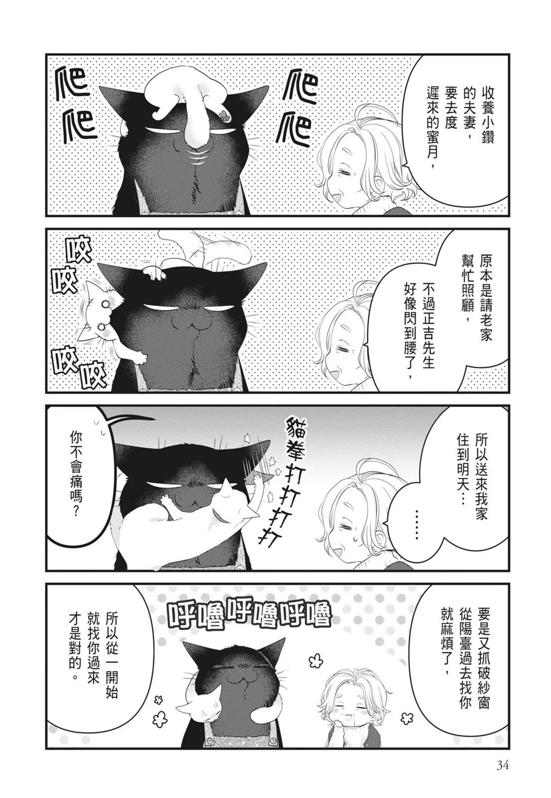 第 36 页