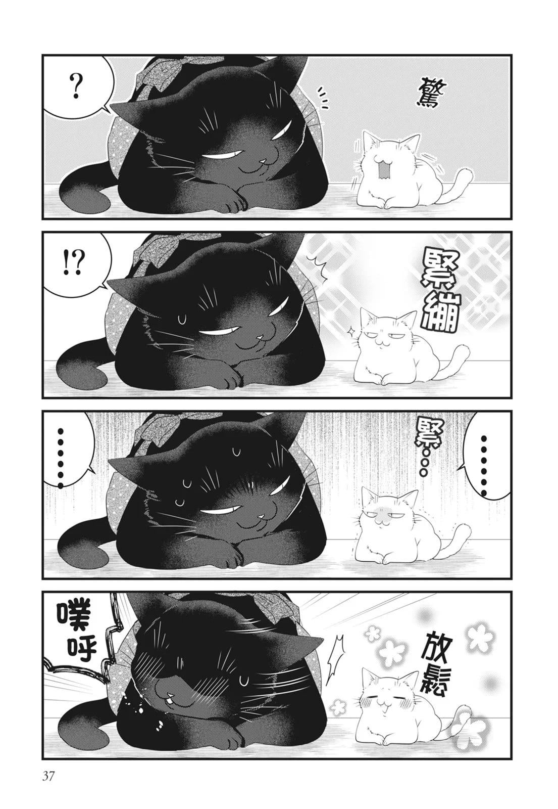 第 39 页
