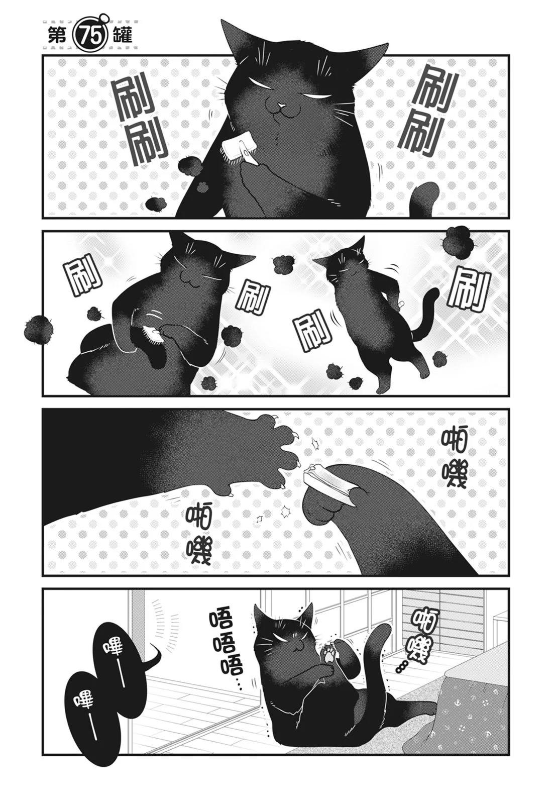 第 43 页