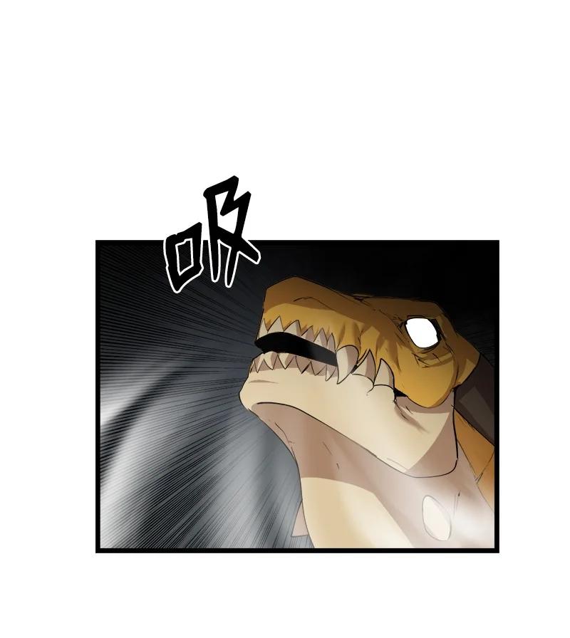 第 71 页