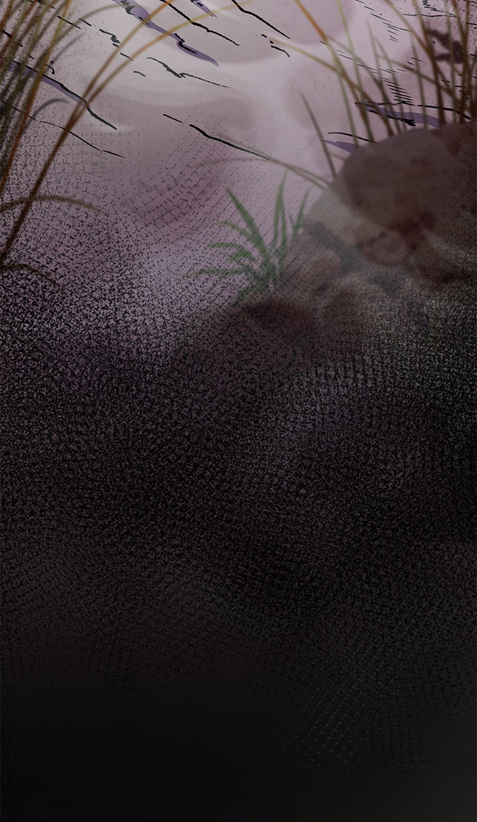 第 85 页