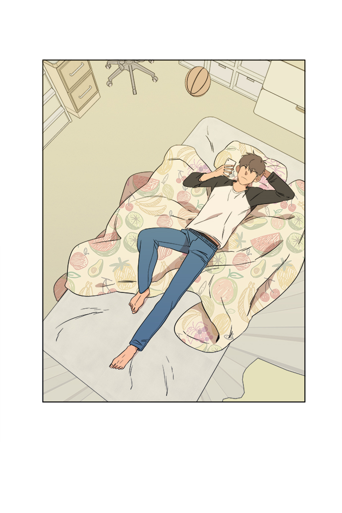 第 43 页