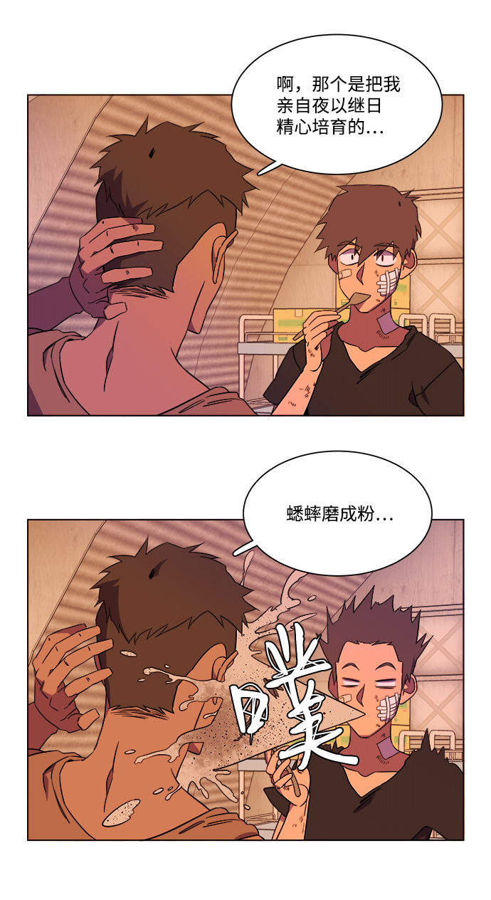 第 31 页