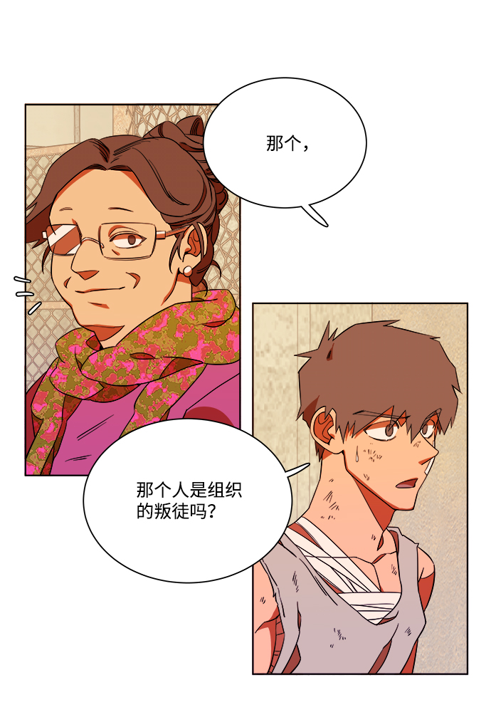 第 51 页