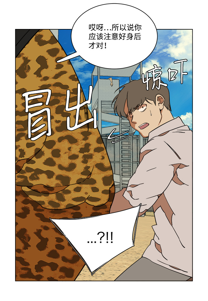 第 55 页