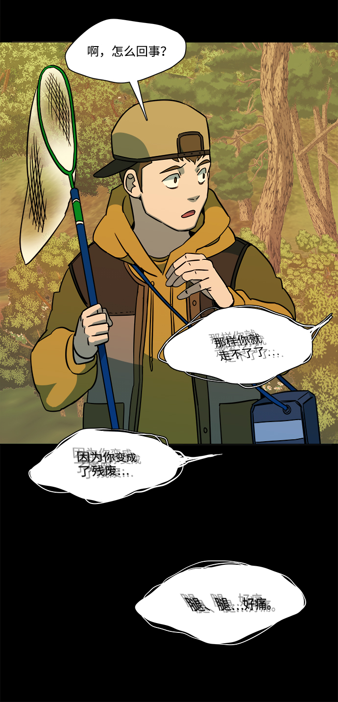 第 52 页