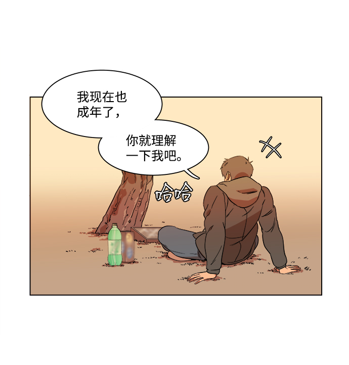 第 43 页