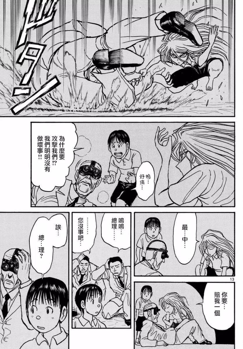 第 13 页
