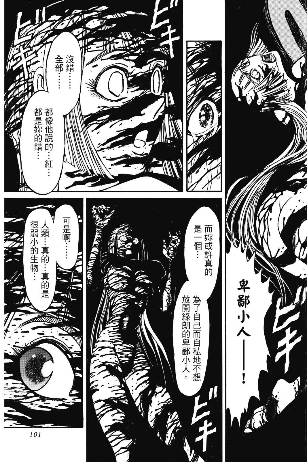 第 101 页