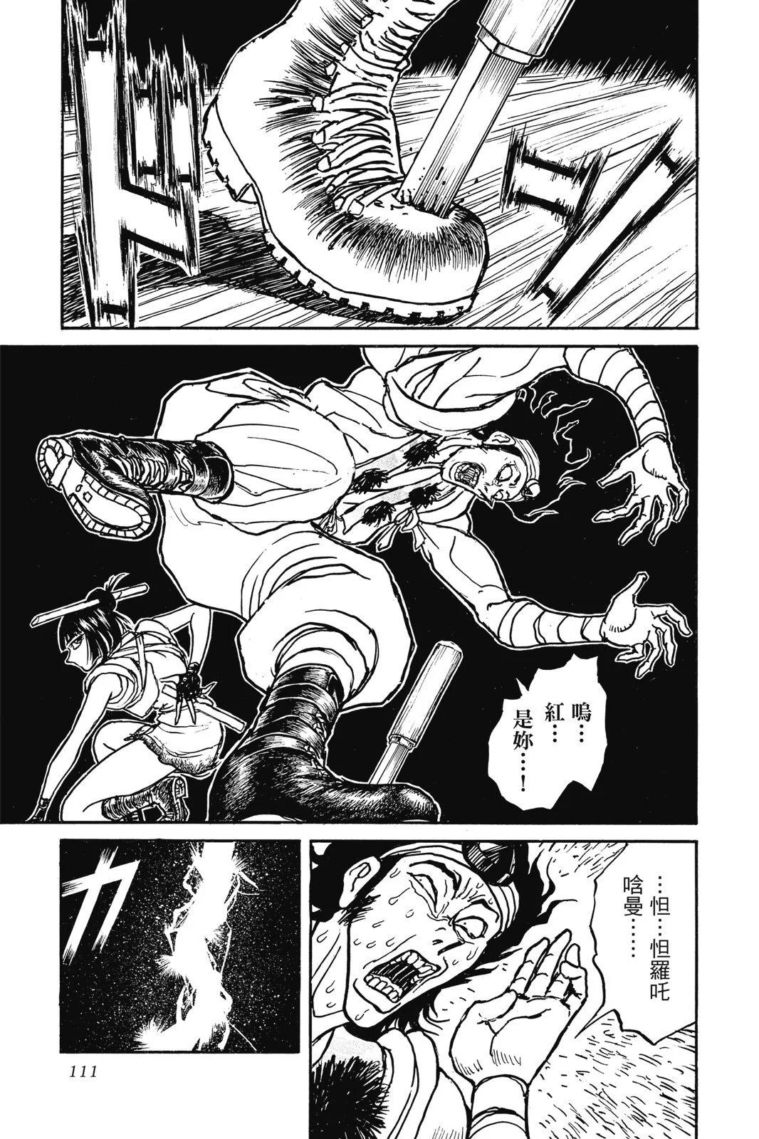 第 111 页