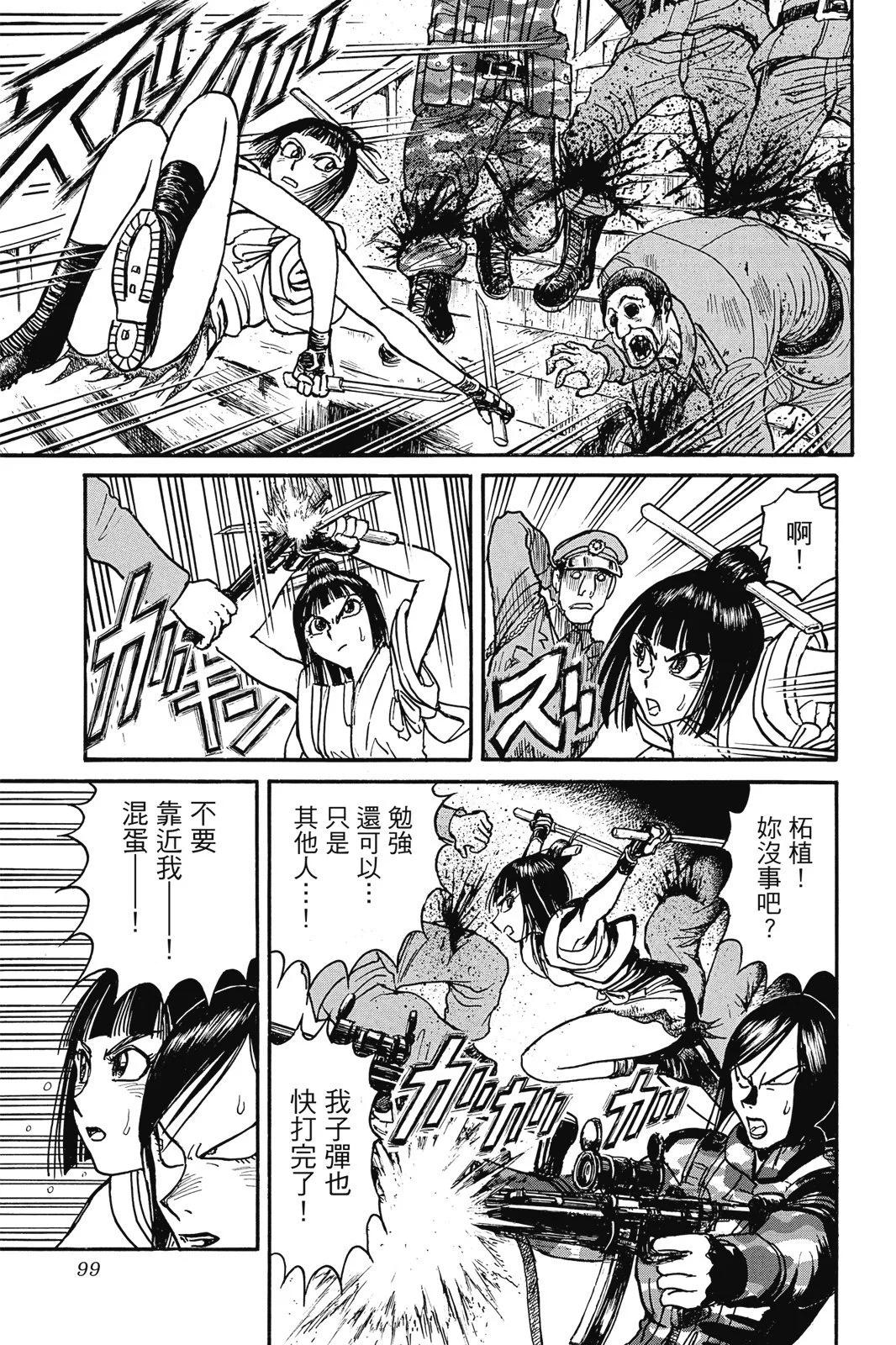 第 99 页