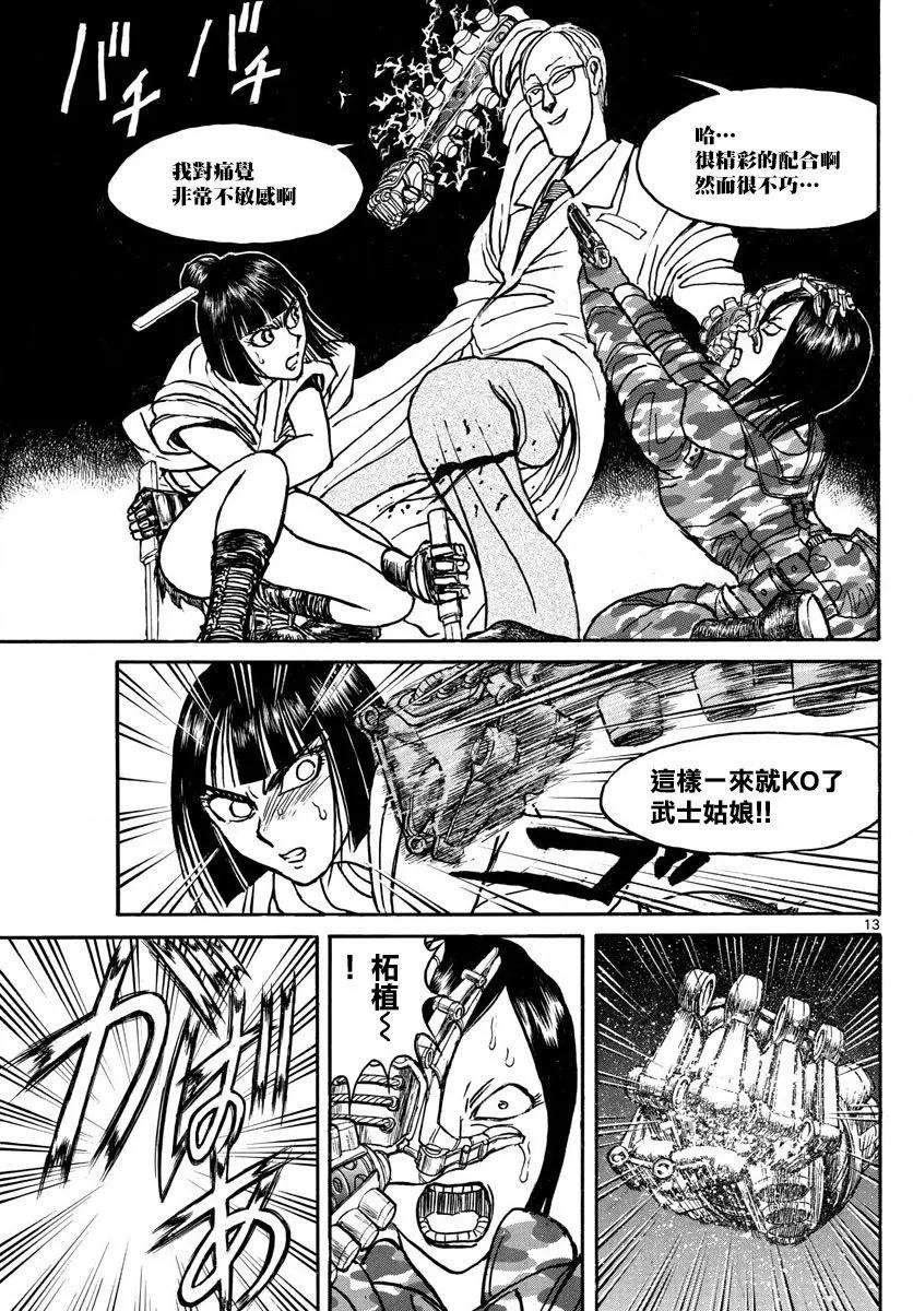 第 13 页
