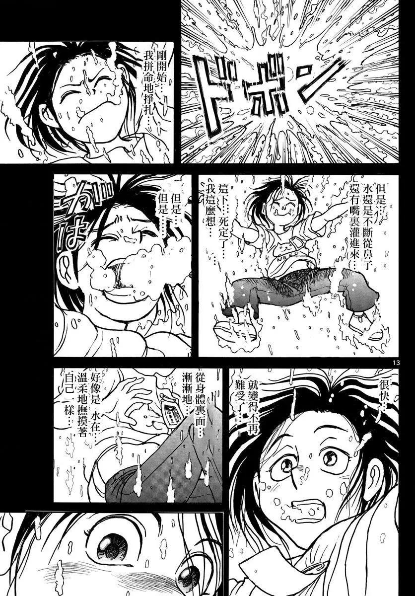 第 13 页