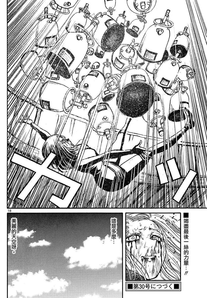 第 17 页