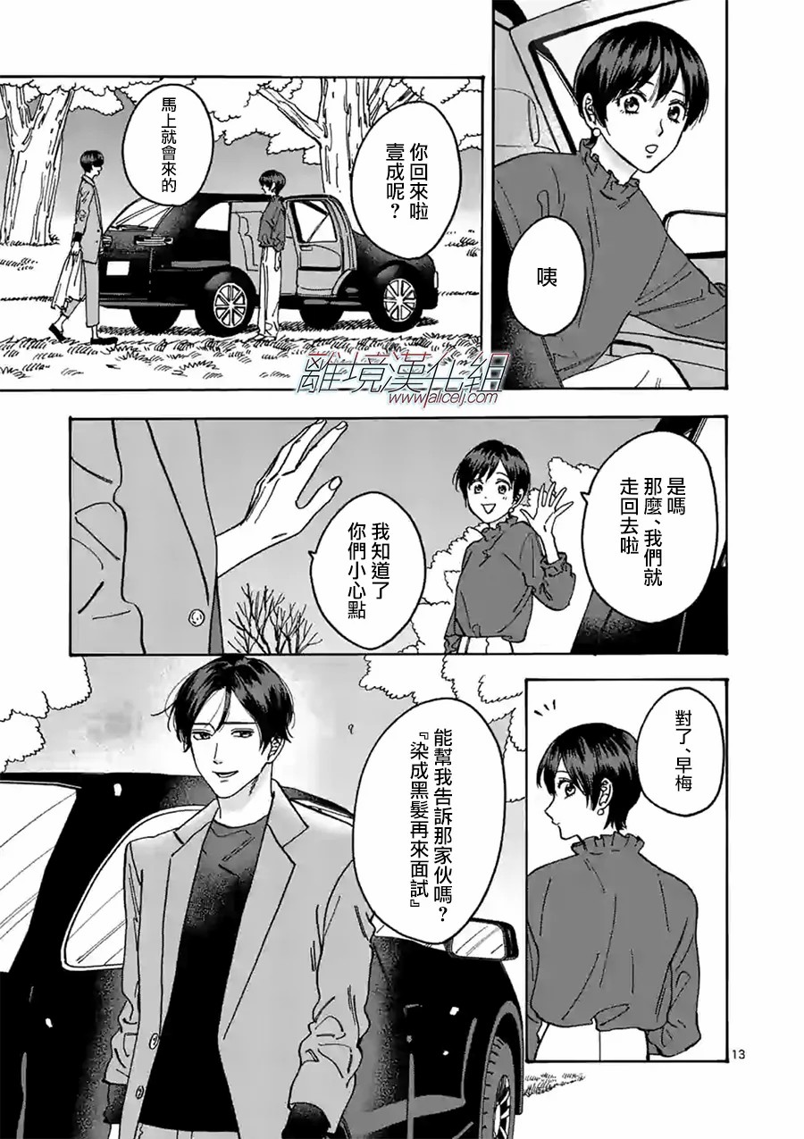 第 13 页