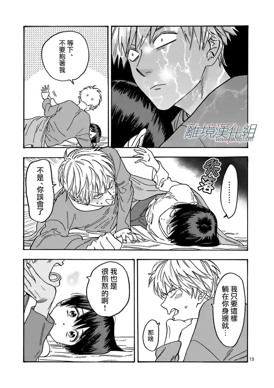 第 13 页