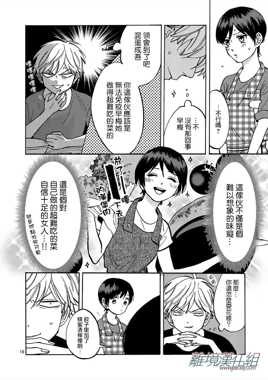 第 17 页