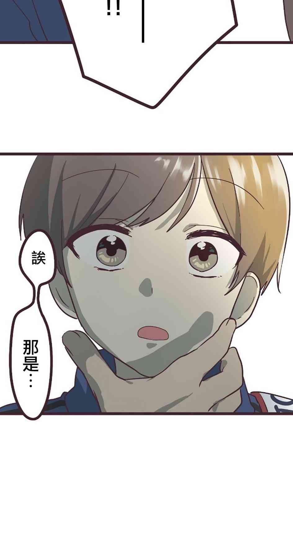 第 41 页