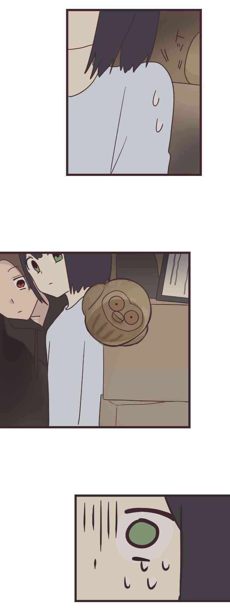 第 34 页