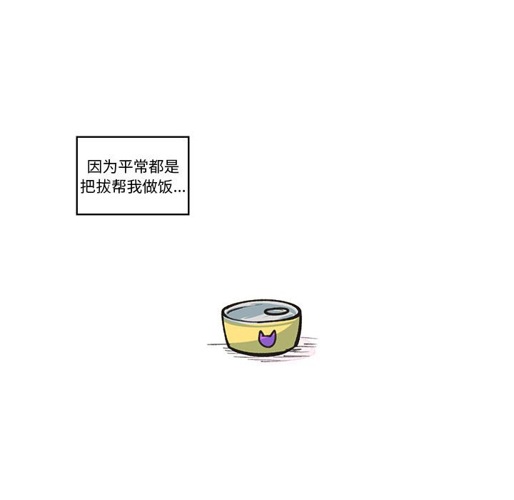 第 48 页