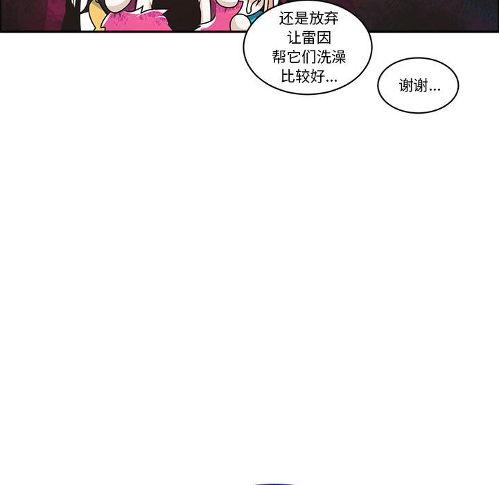 第 43 页