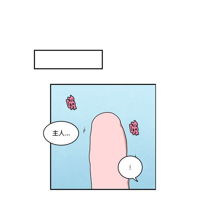 第 51 页