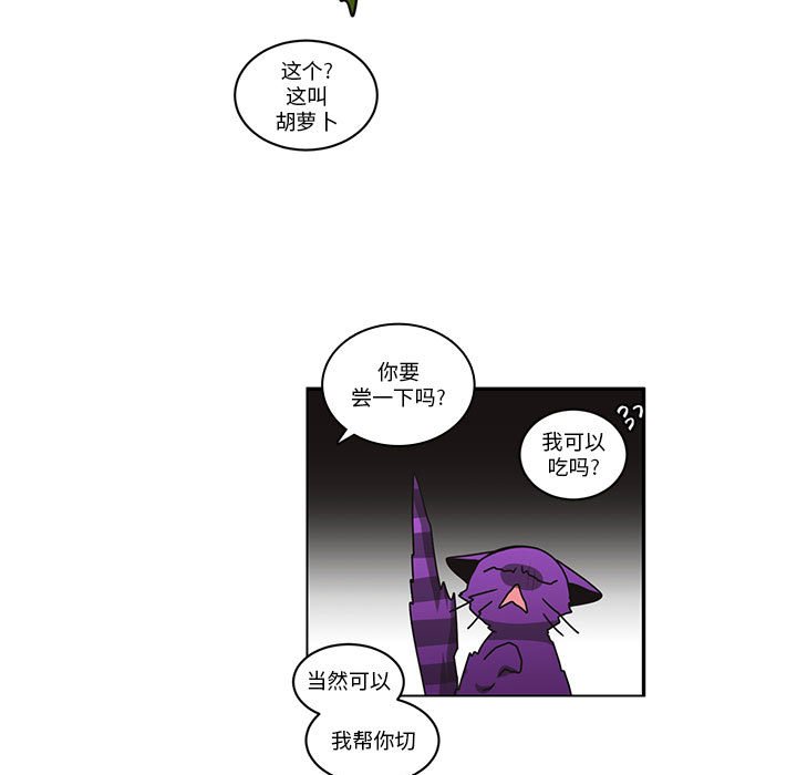 第 41 页