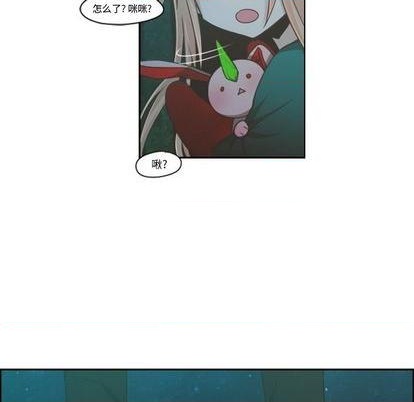 第 51 页