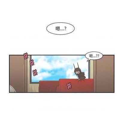 第 41 页