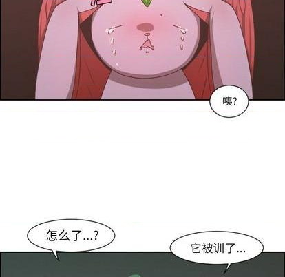 第 37 页
