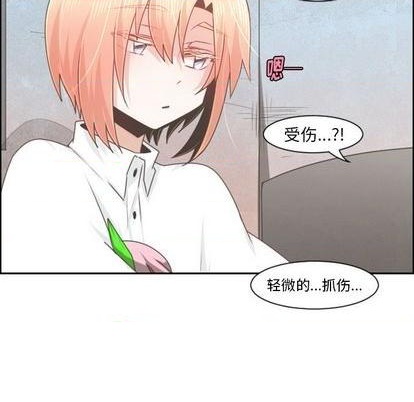 第 51 页