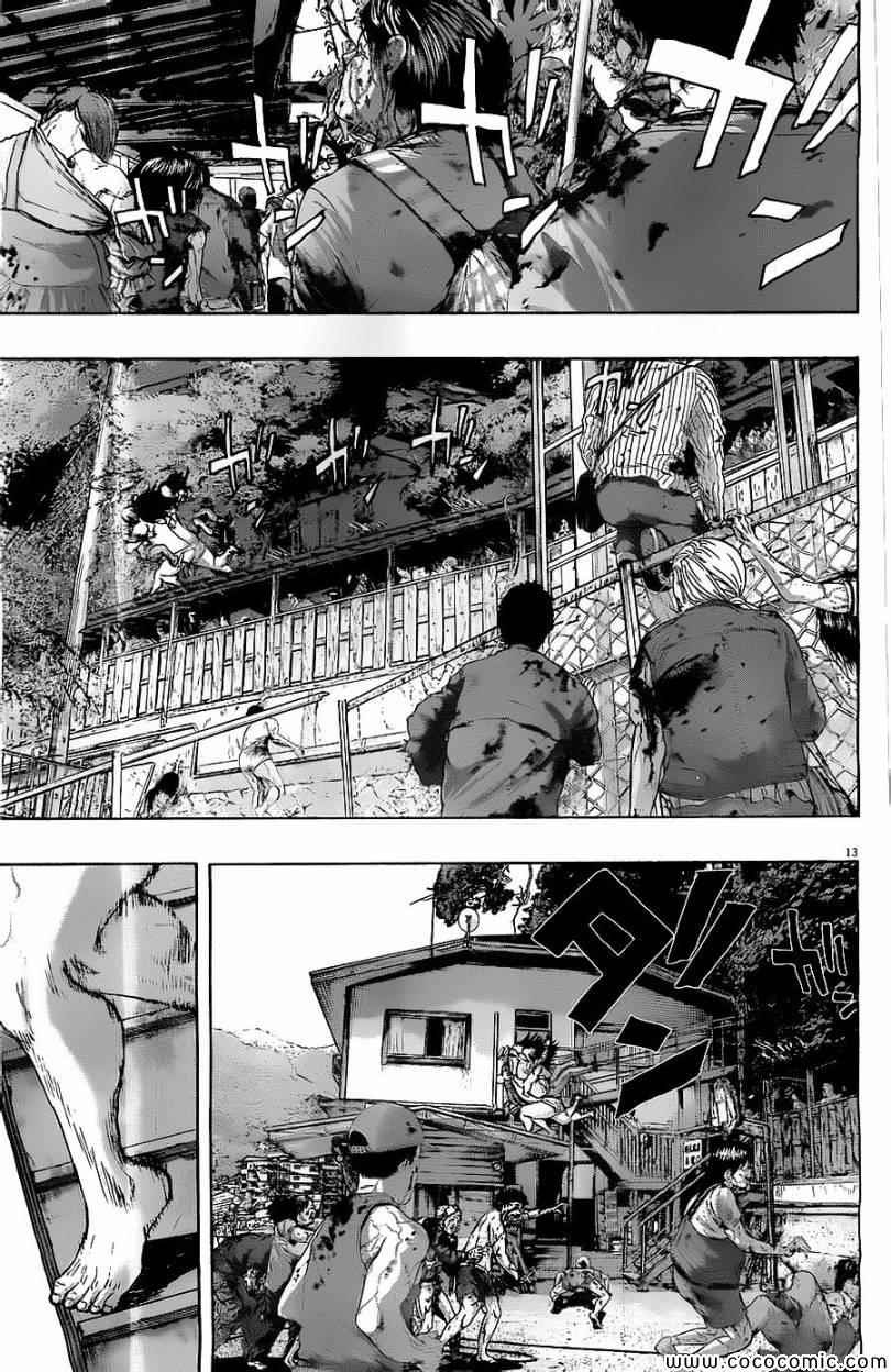 第 13 页