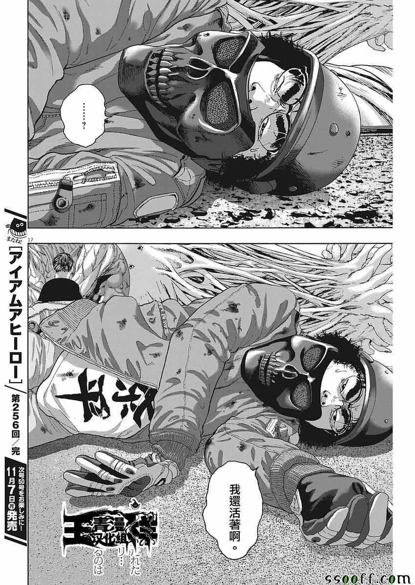 第 17 页