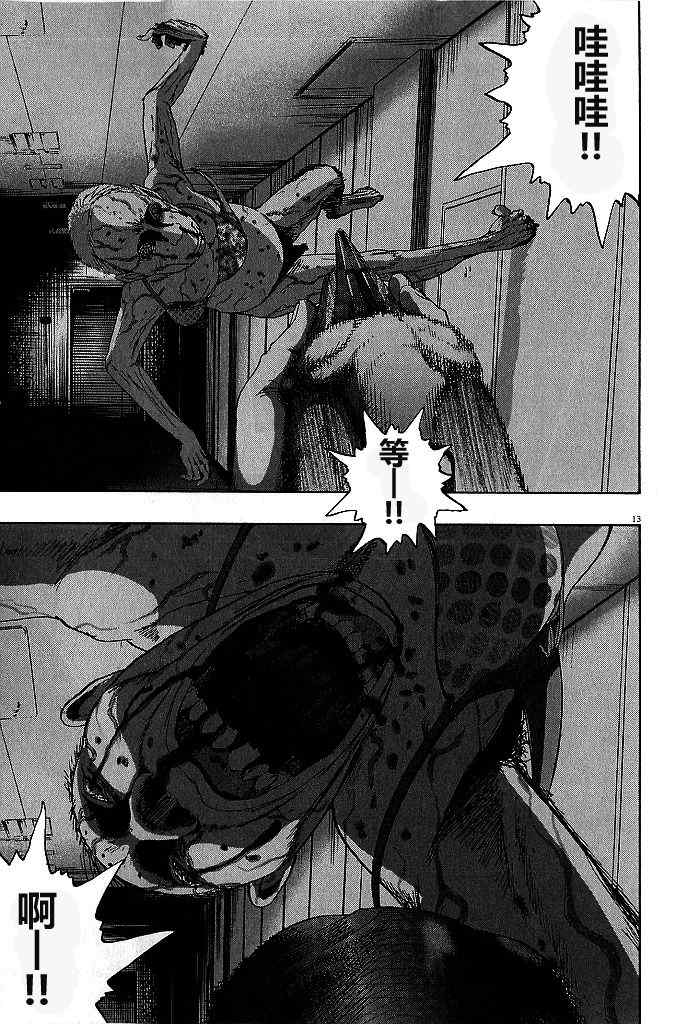 第 13 页