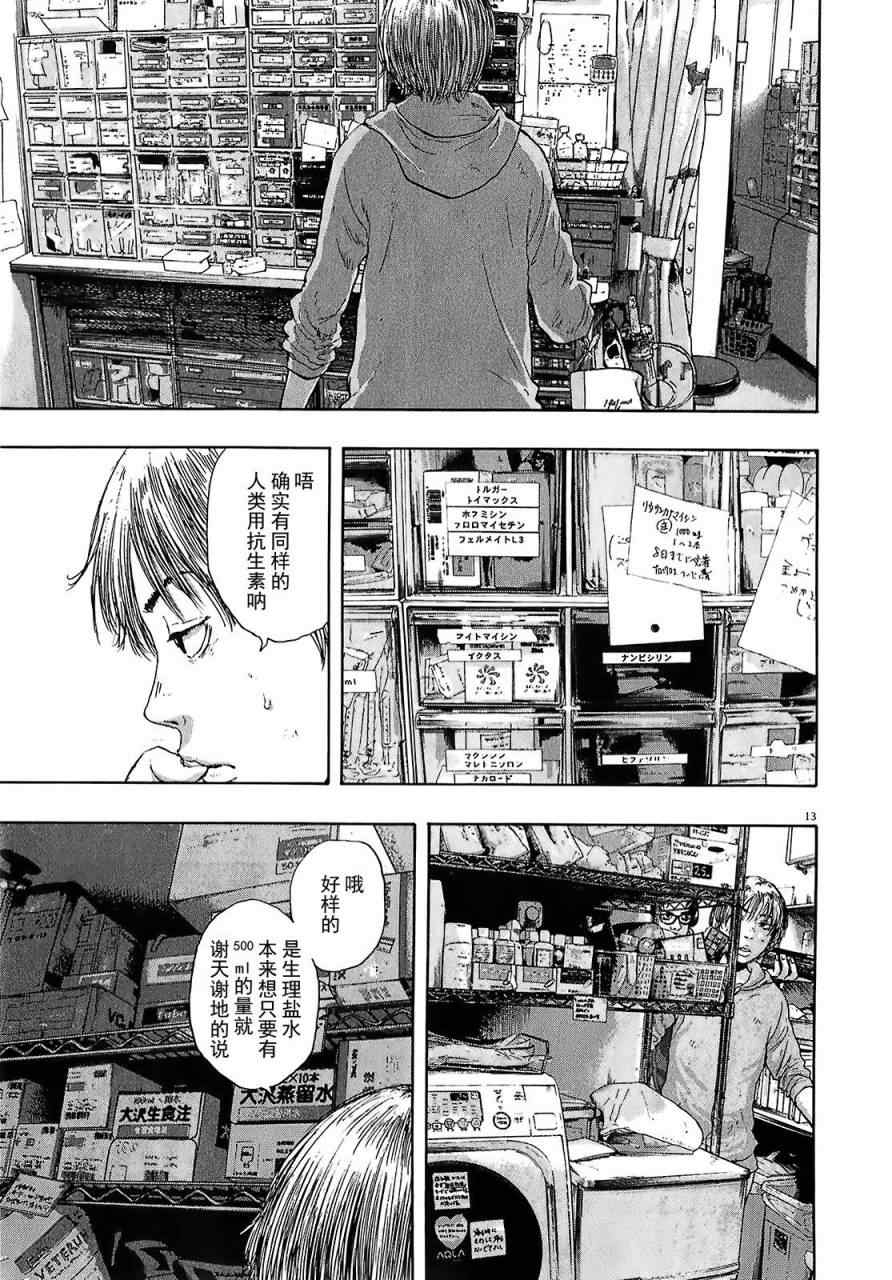 第 13 页