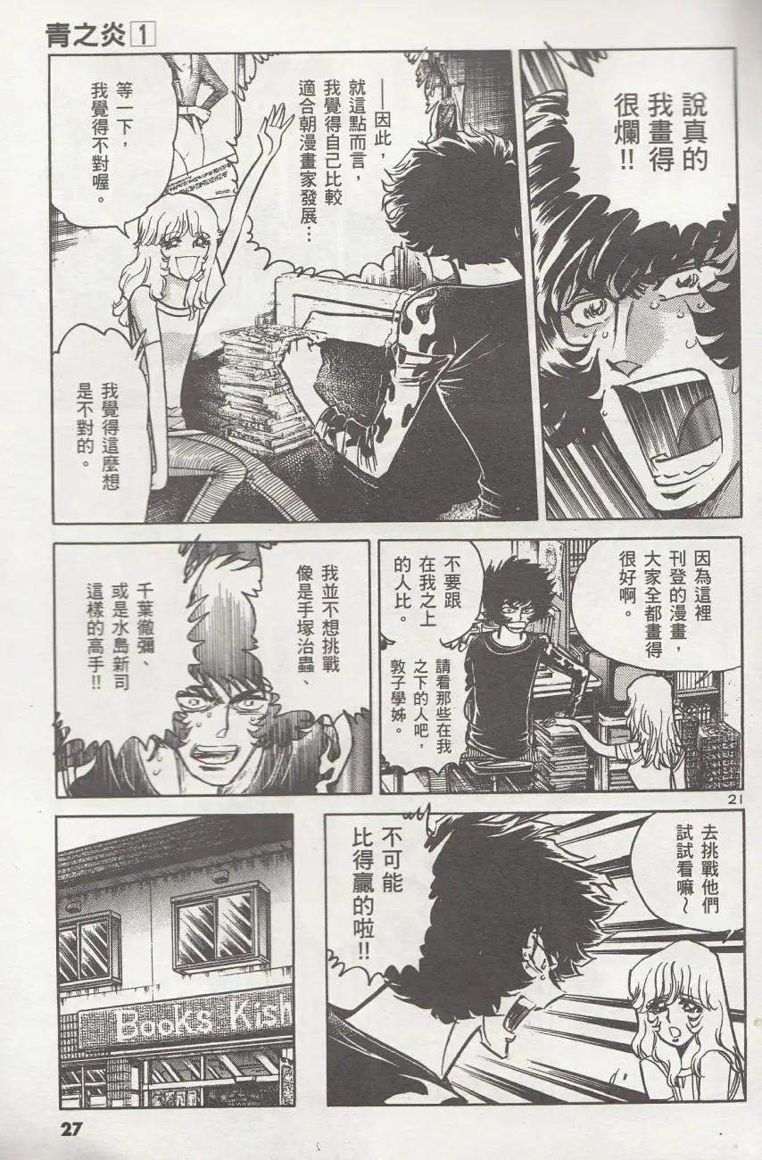 第 30 页