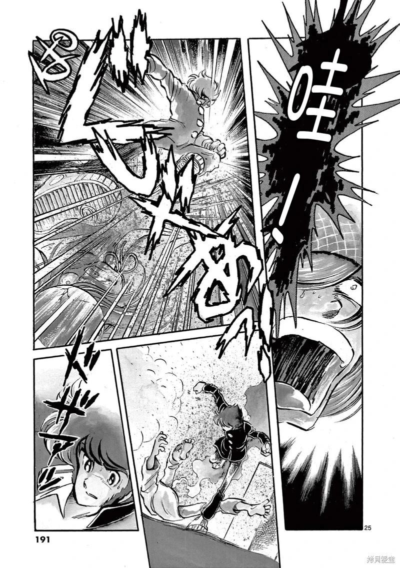 第 25 页