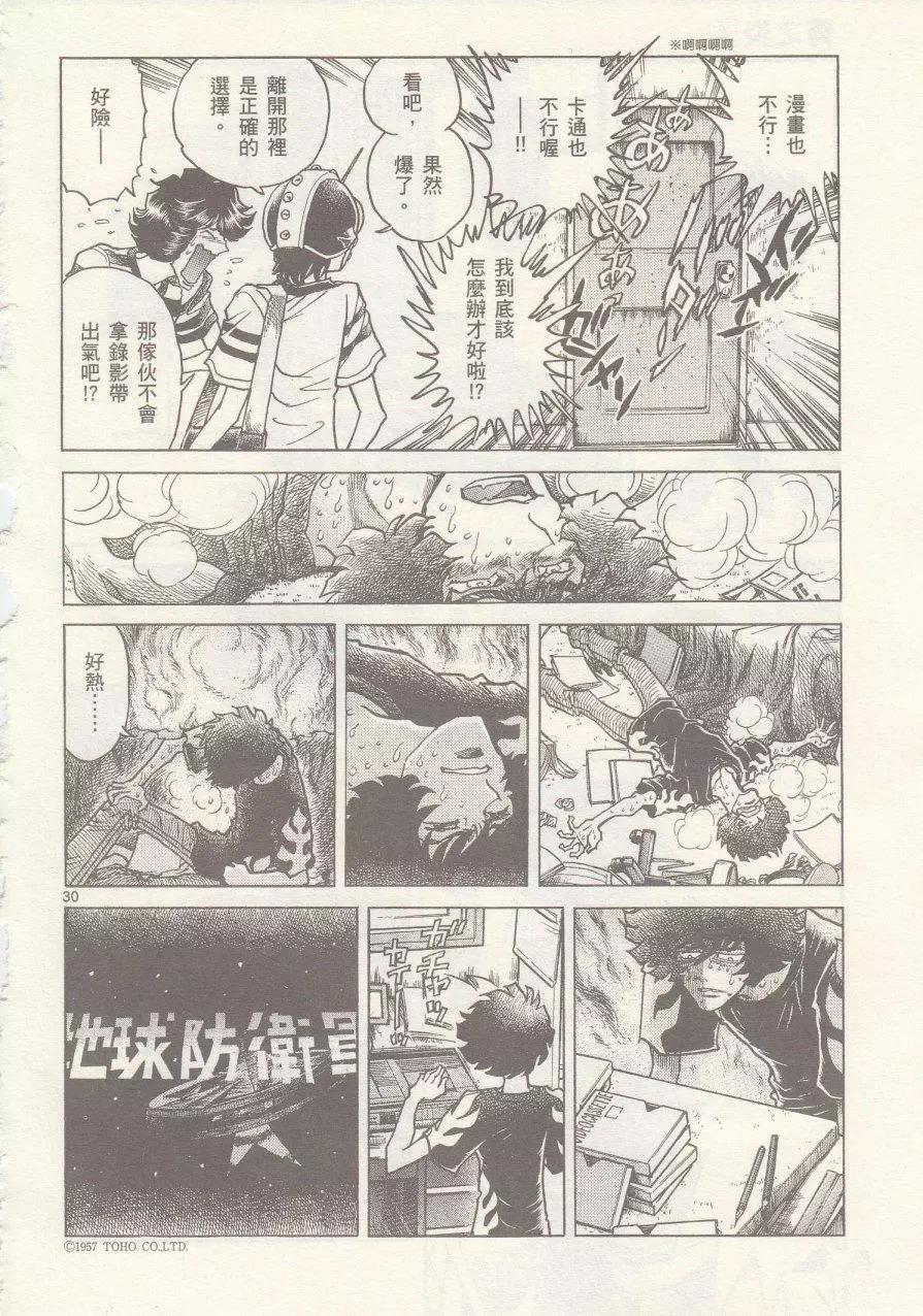 第 30 页