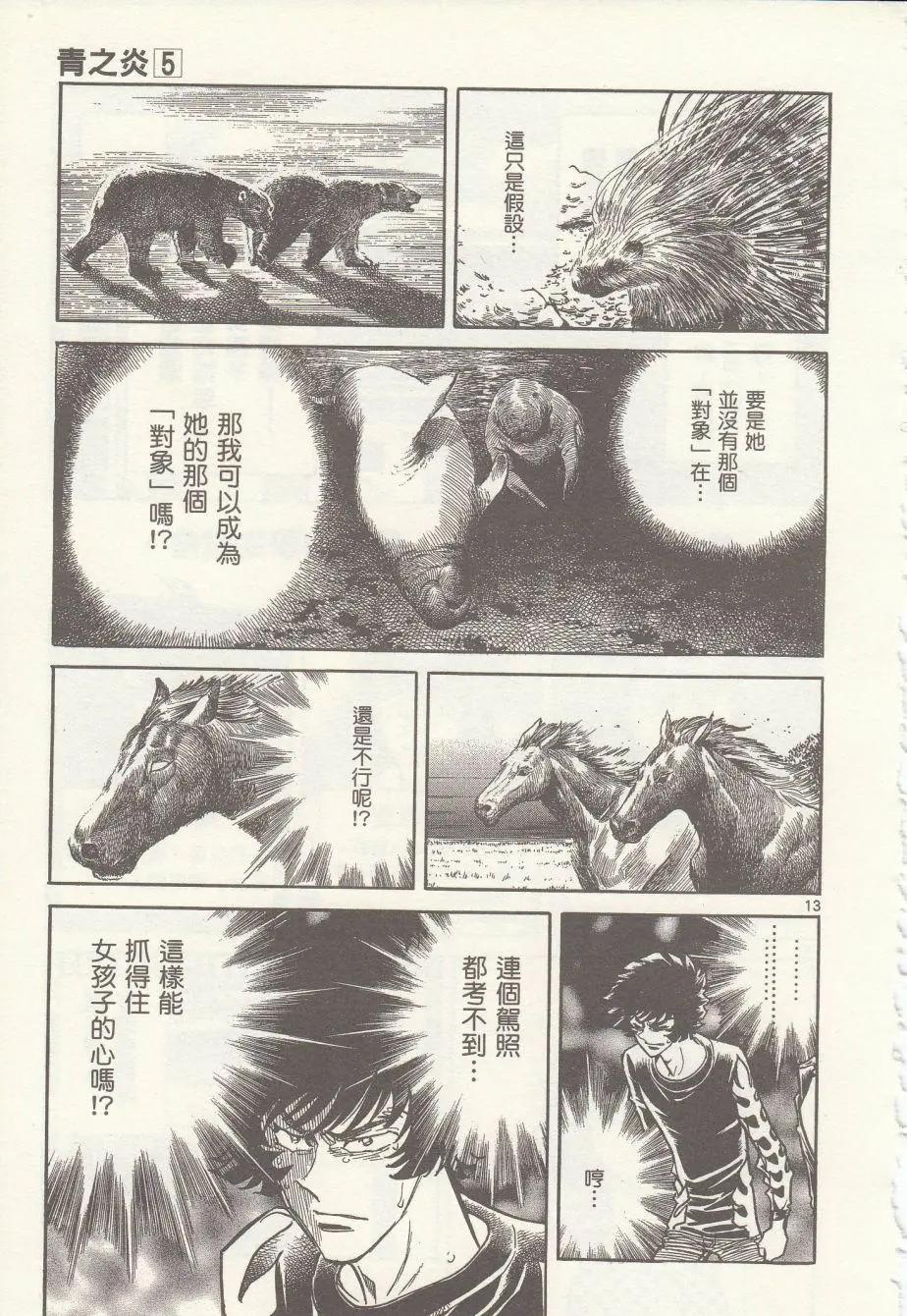 第 13 页