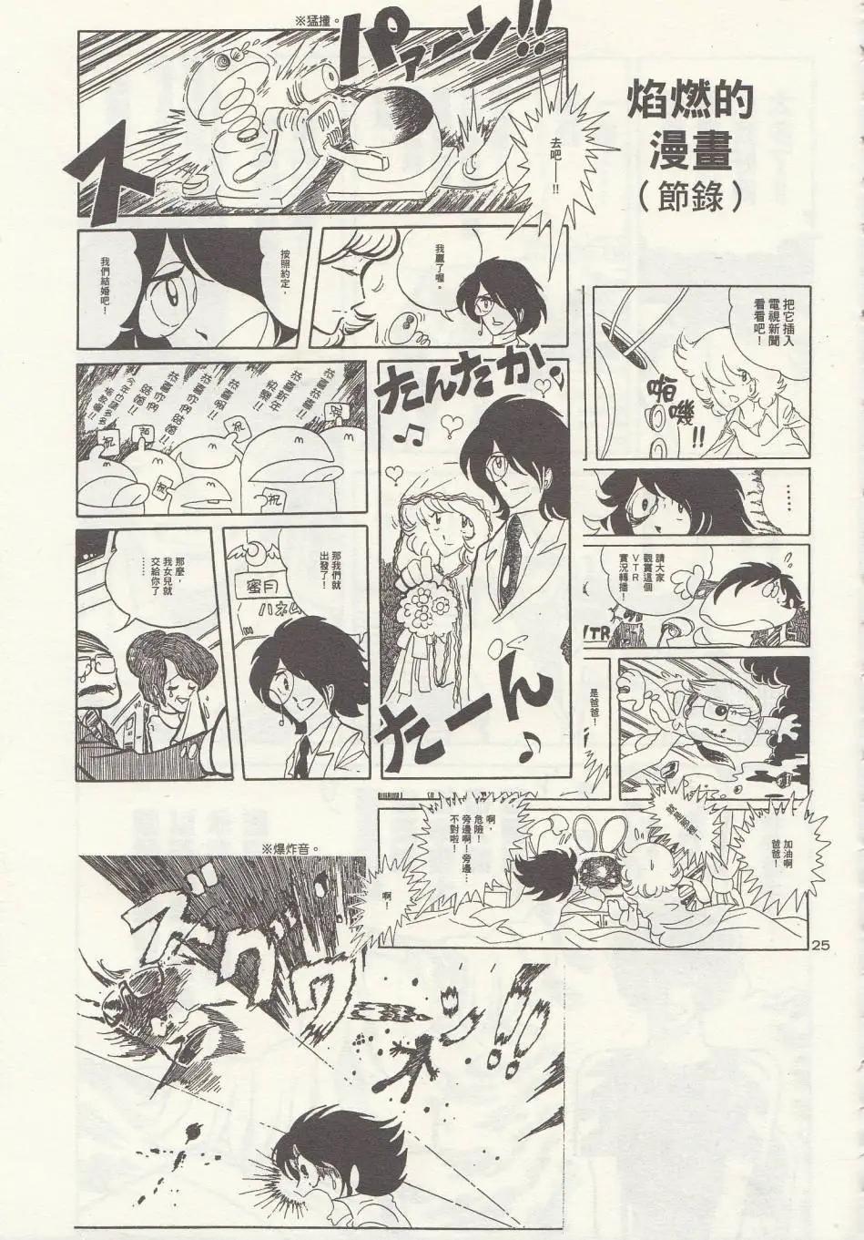 第 25 页