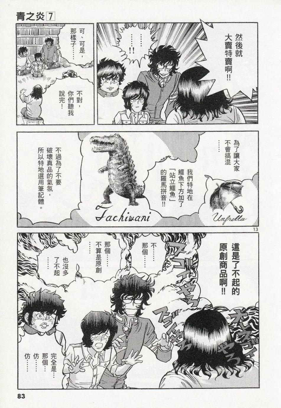 第 13 页