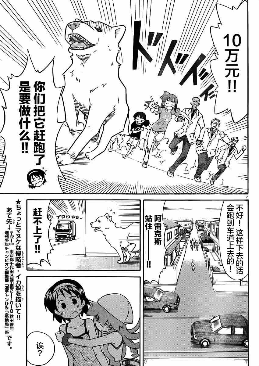 第 7 页