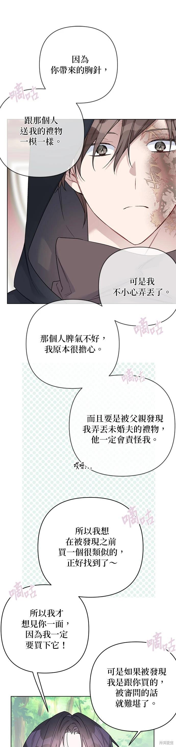 第 28 页